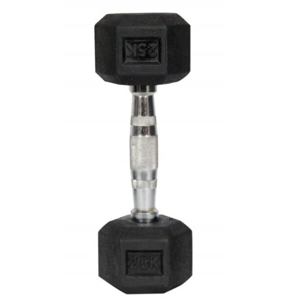 Hex Dumbbell 2.5 Kg Hand Weights for Home Gym